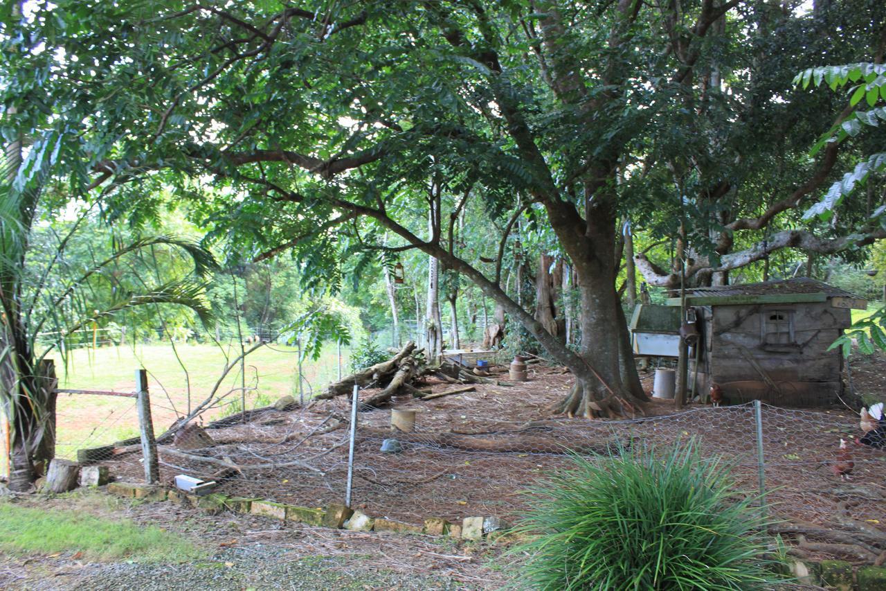 Alstonville Country Cottages Extérieur photo
